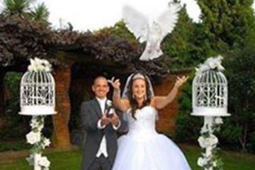 Wedding Doves UK