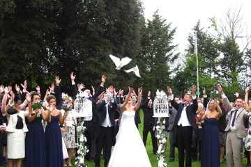Wedding Doves Essex