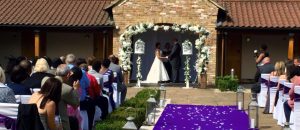 wedding doves in their displays